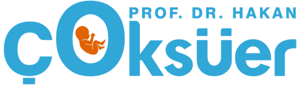 Prof. Dr. Hakan Çoksüer